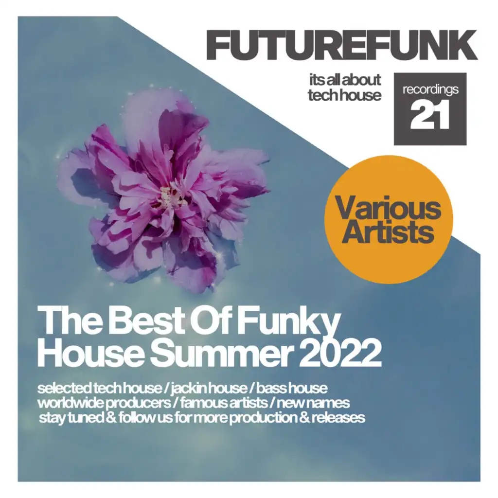 The Best Of Funky House Summer 2022