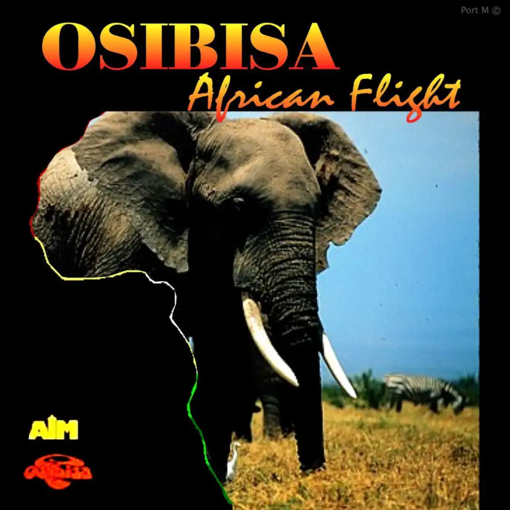 African Flight