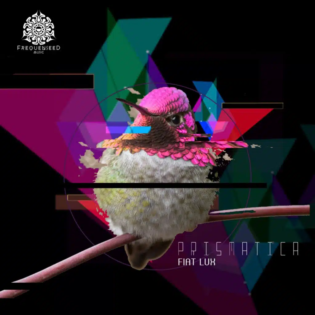 Fiat Lux (feat. The Oddness & Juliano Gomez)