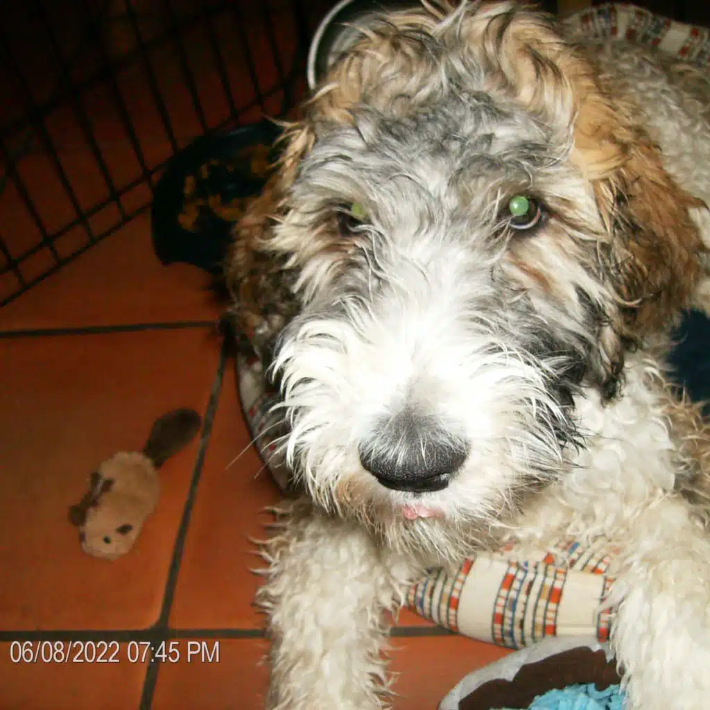 saved u (feat. arid)