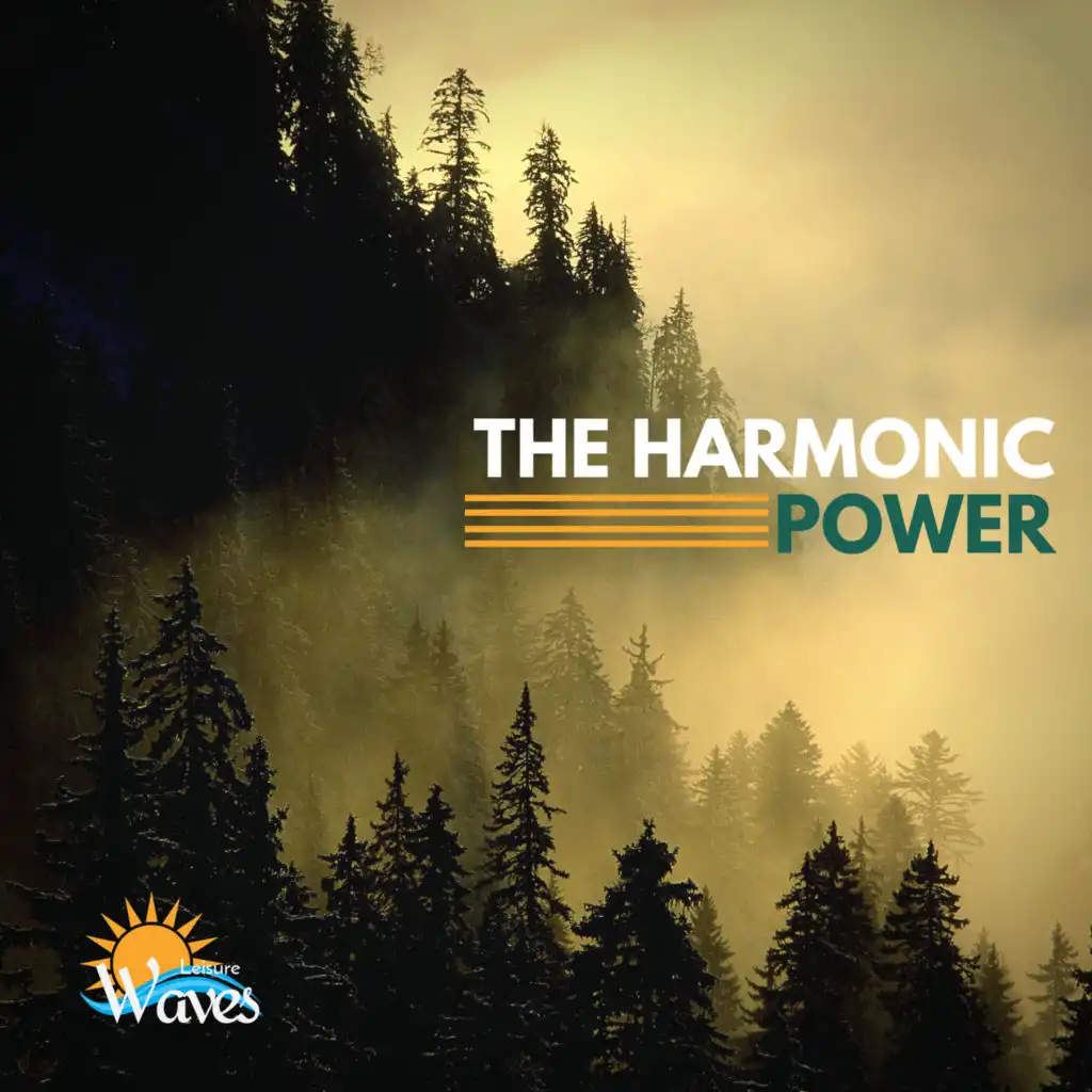 The Harmonic Power