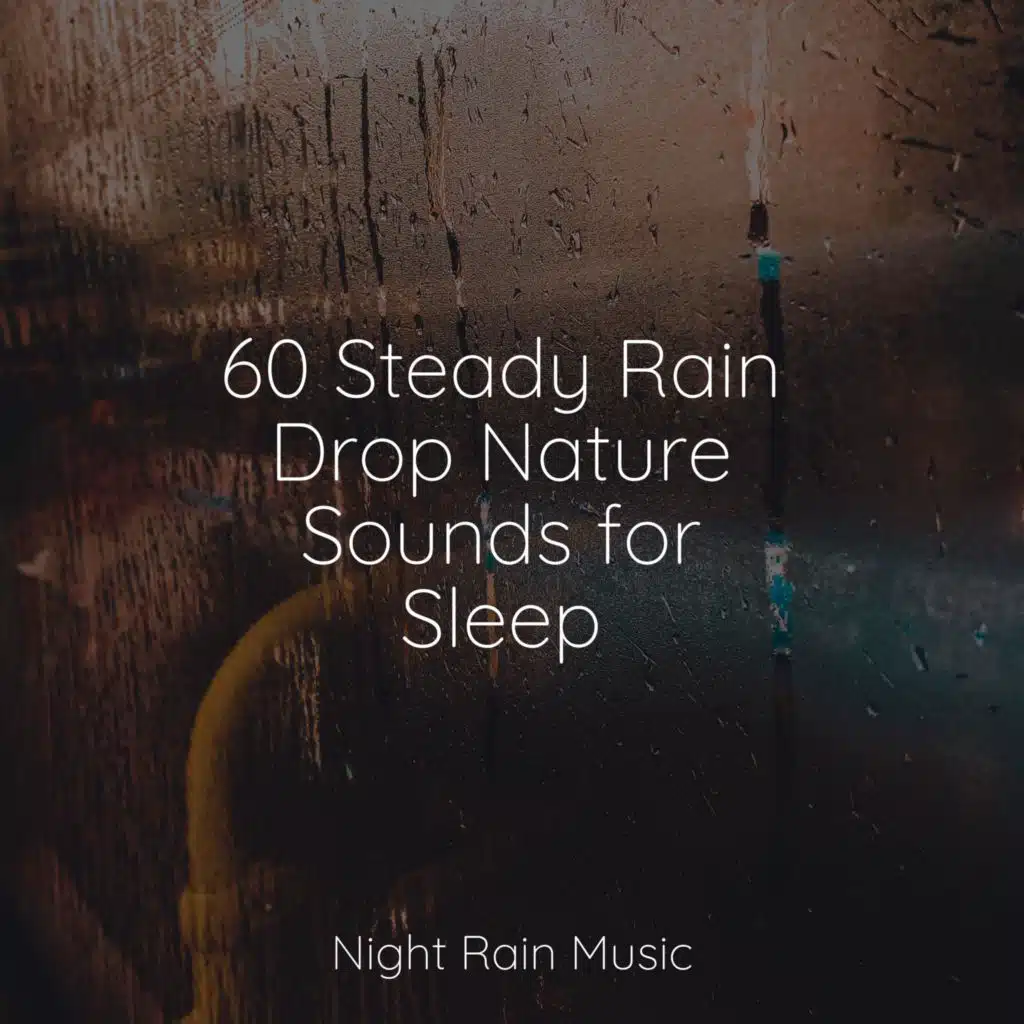 Nature Sounds Radio & Entspannungsmusik Meer