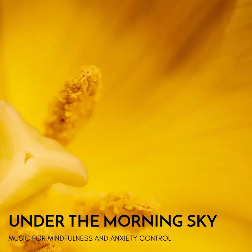 Under the Morning Sky - Music for Mindfulness and Anxiety Control