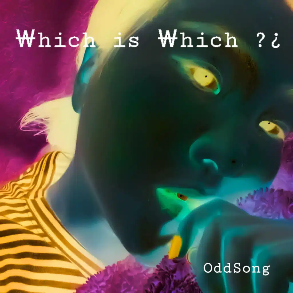 ￦hich is ￦hich ?¿