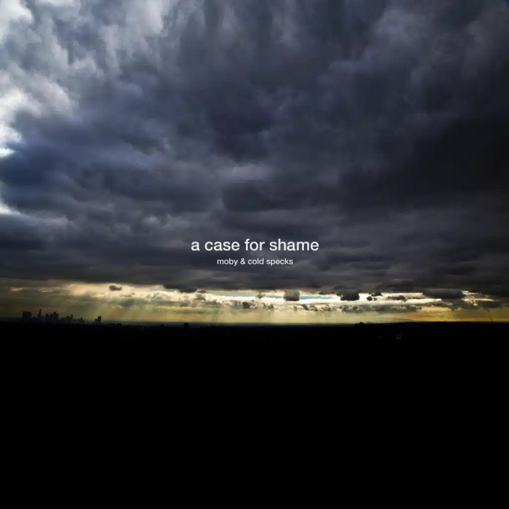 A Case for Shame (feat. Cold Specks)