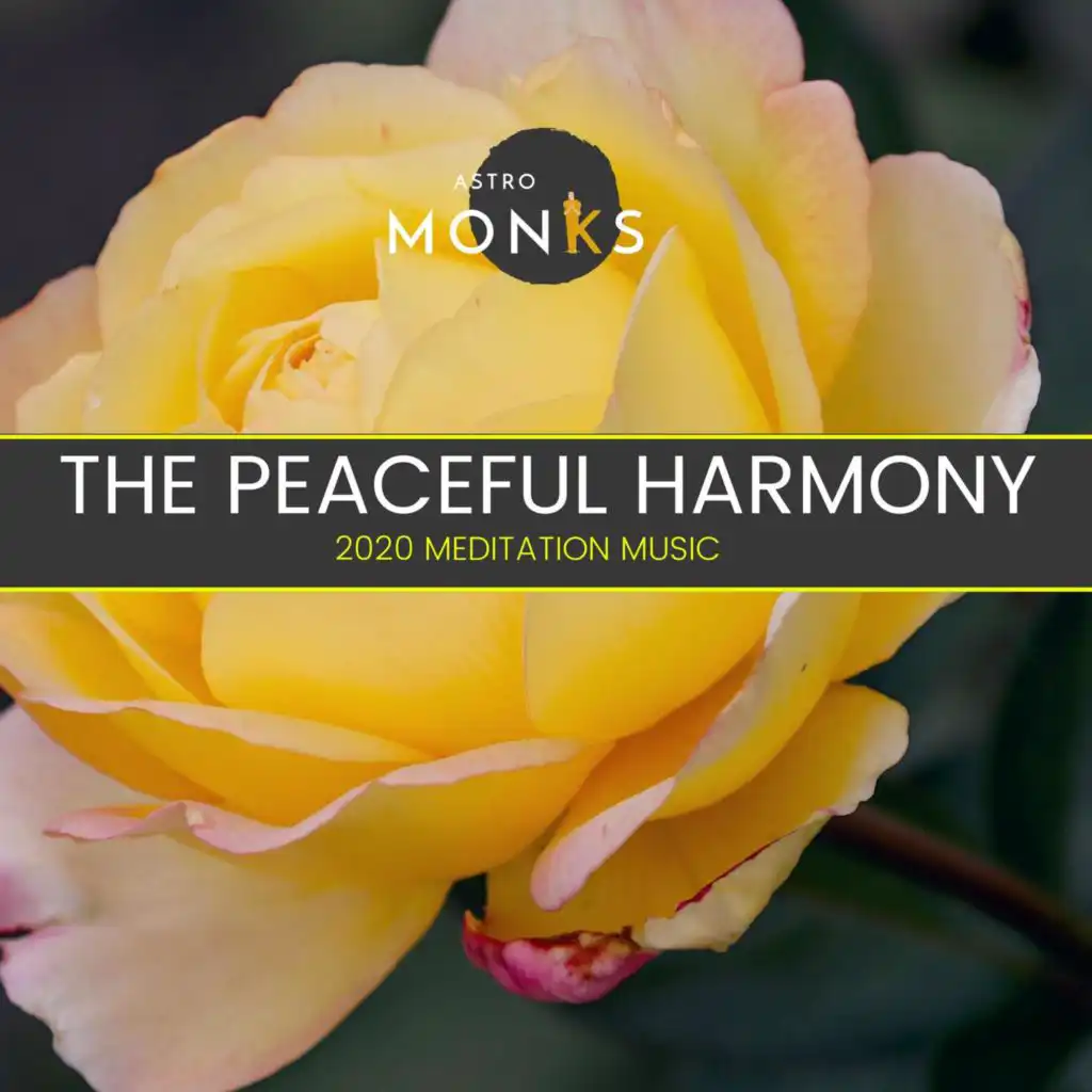 The Peaceful Harmony - 2020 Meditation Music