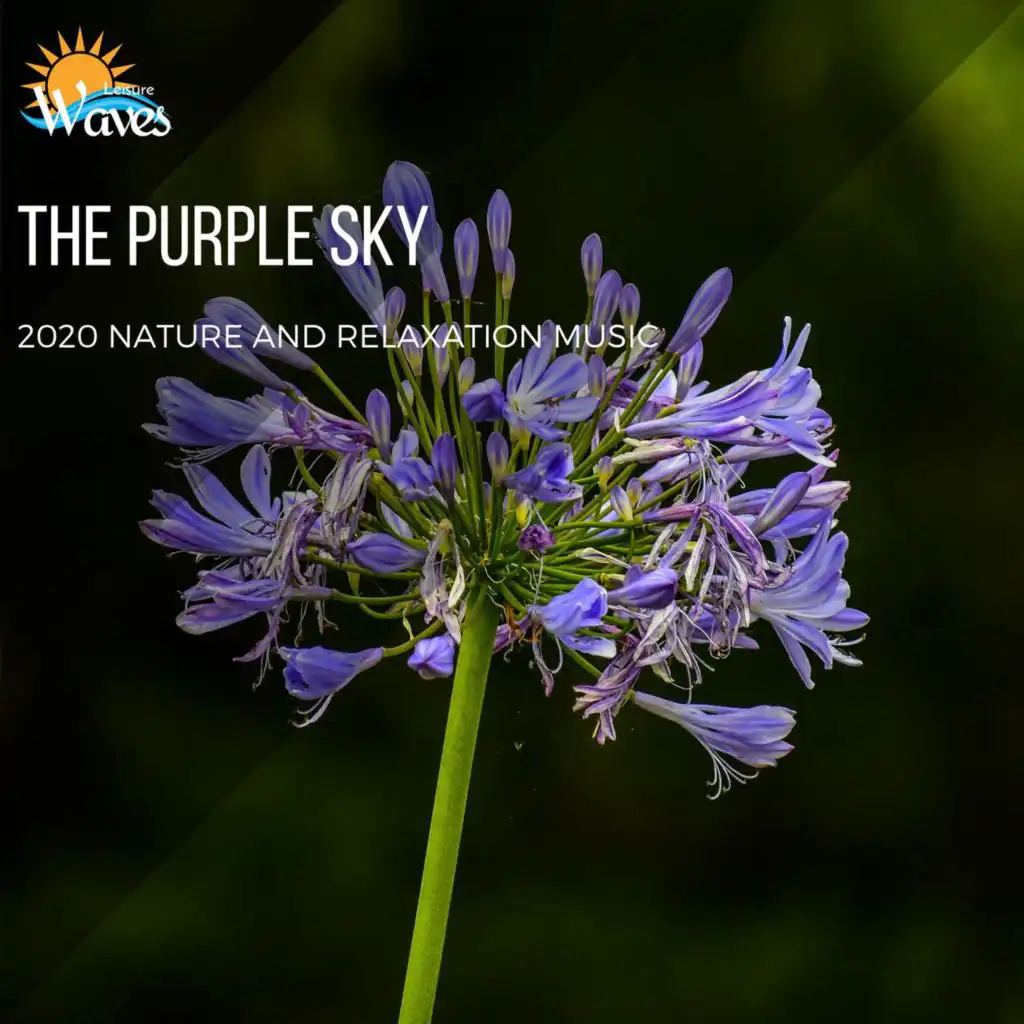 The Purple Sky - 2020 Nature and Relaxation Music