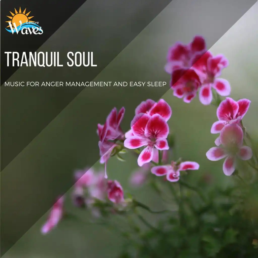 Tranquil Soul - Music for Anger Management and Easy Sleep