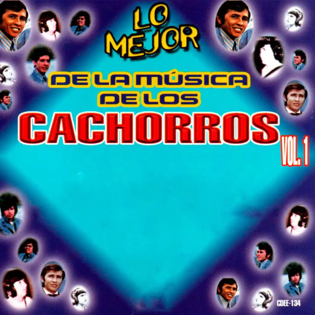 Lo Mejor de la Música de los Cachorros, Vol. 1