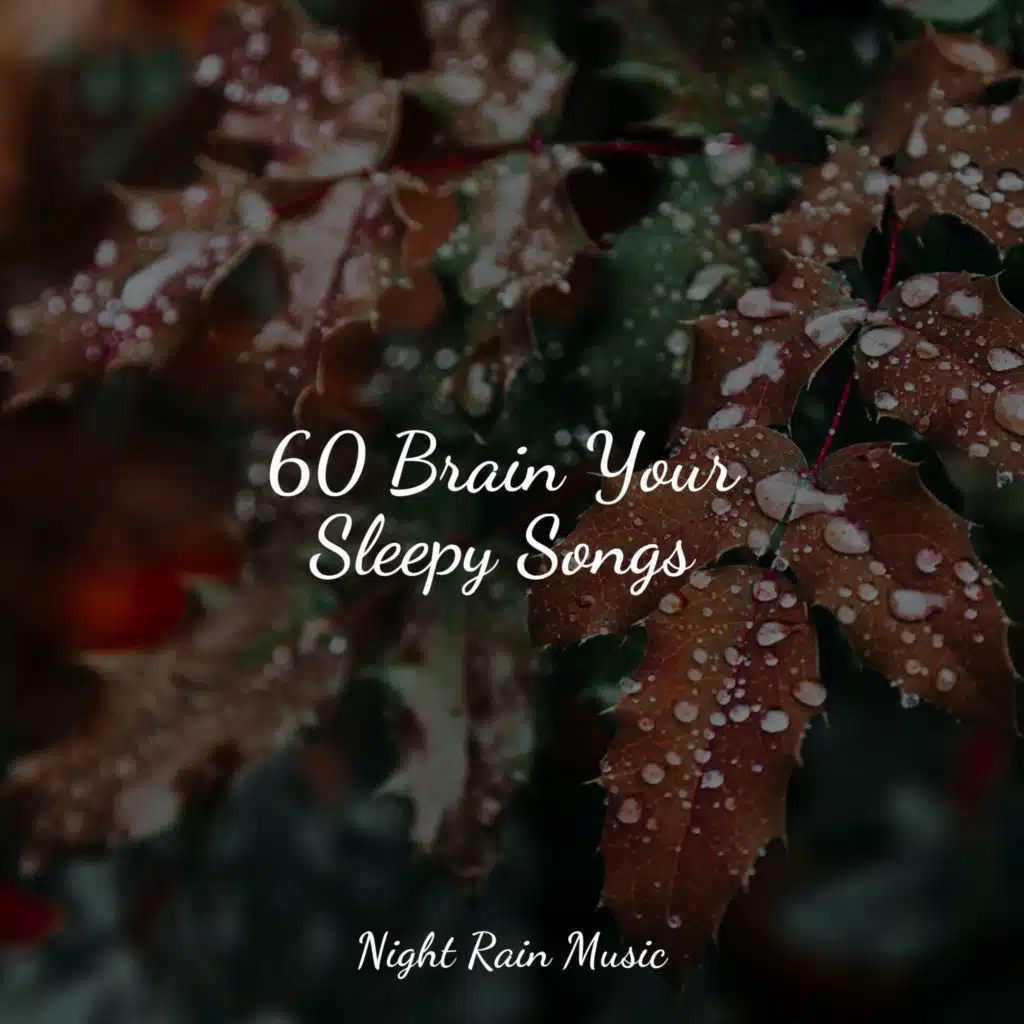 60 Brain Your Sleepy Songs