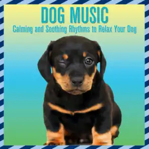 Dog Music Dreams, Dog Music & Dog Music Therapy
