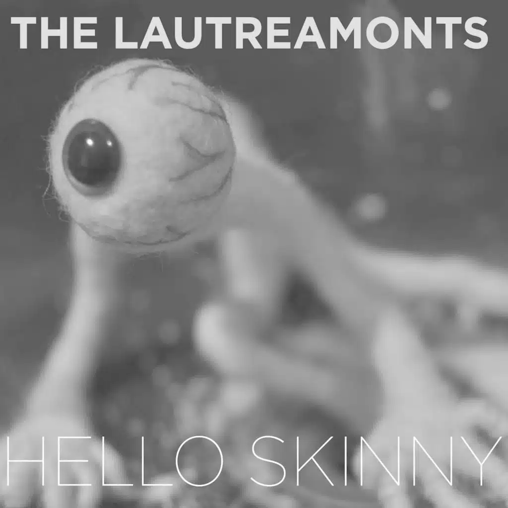 Hello Skinny (Cover Version)