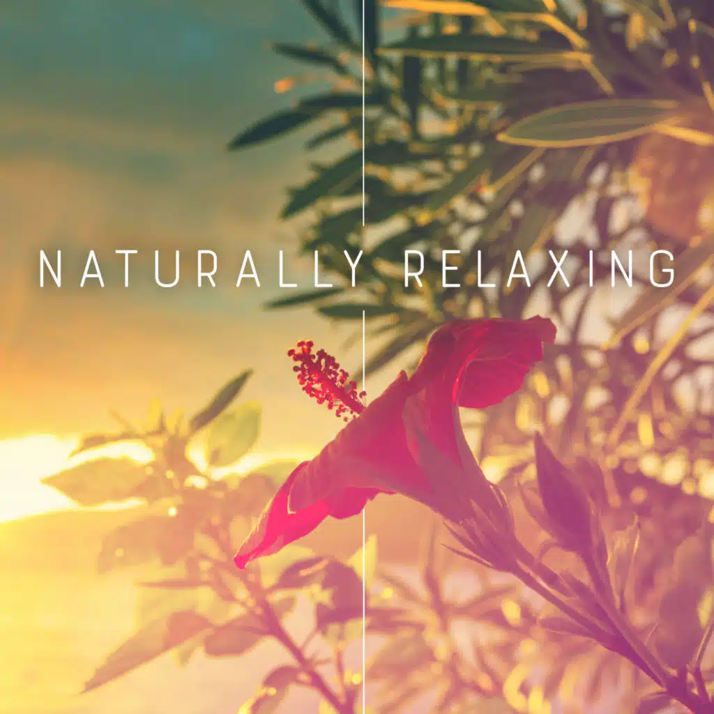 Naturally Relaxing: Complete Collection Of Relaxing Music Essential For Relaxation