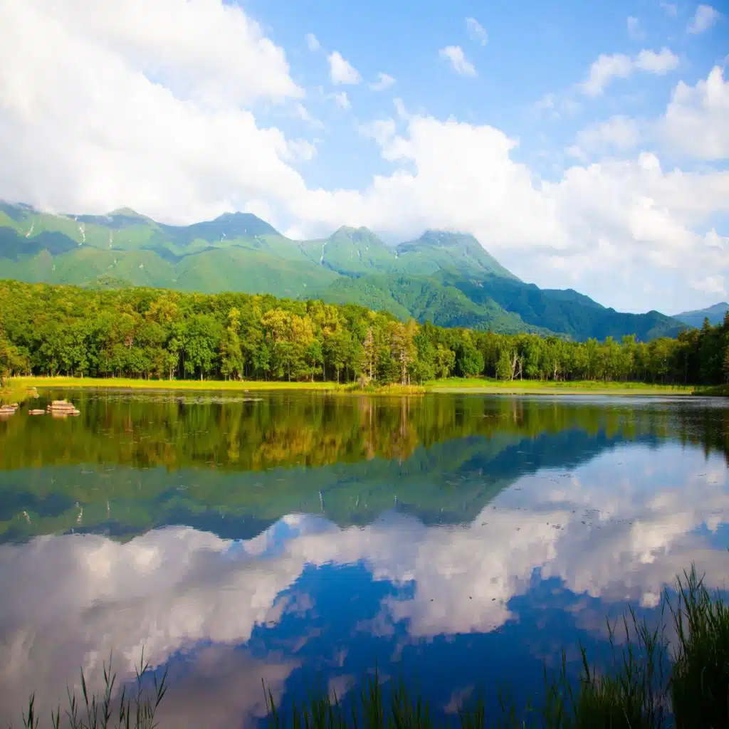 Vagues Océaniques Érotiques
