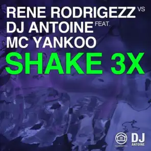 Shake 3x (2k12 Radio Edit) [feat. MC Yankoo]