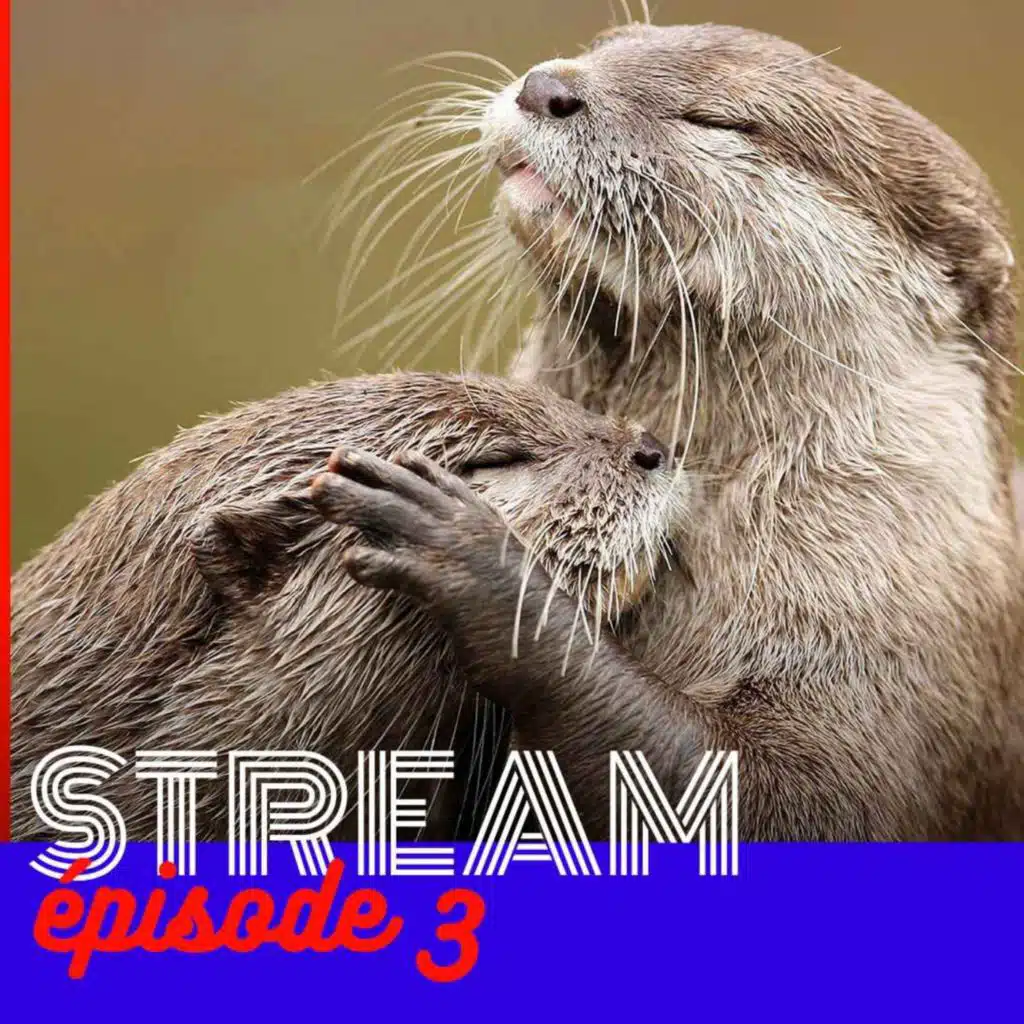 Bienveillance et scepticisme — STREAM #3