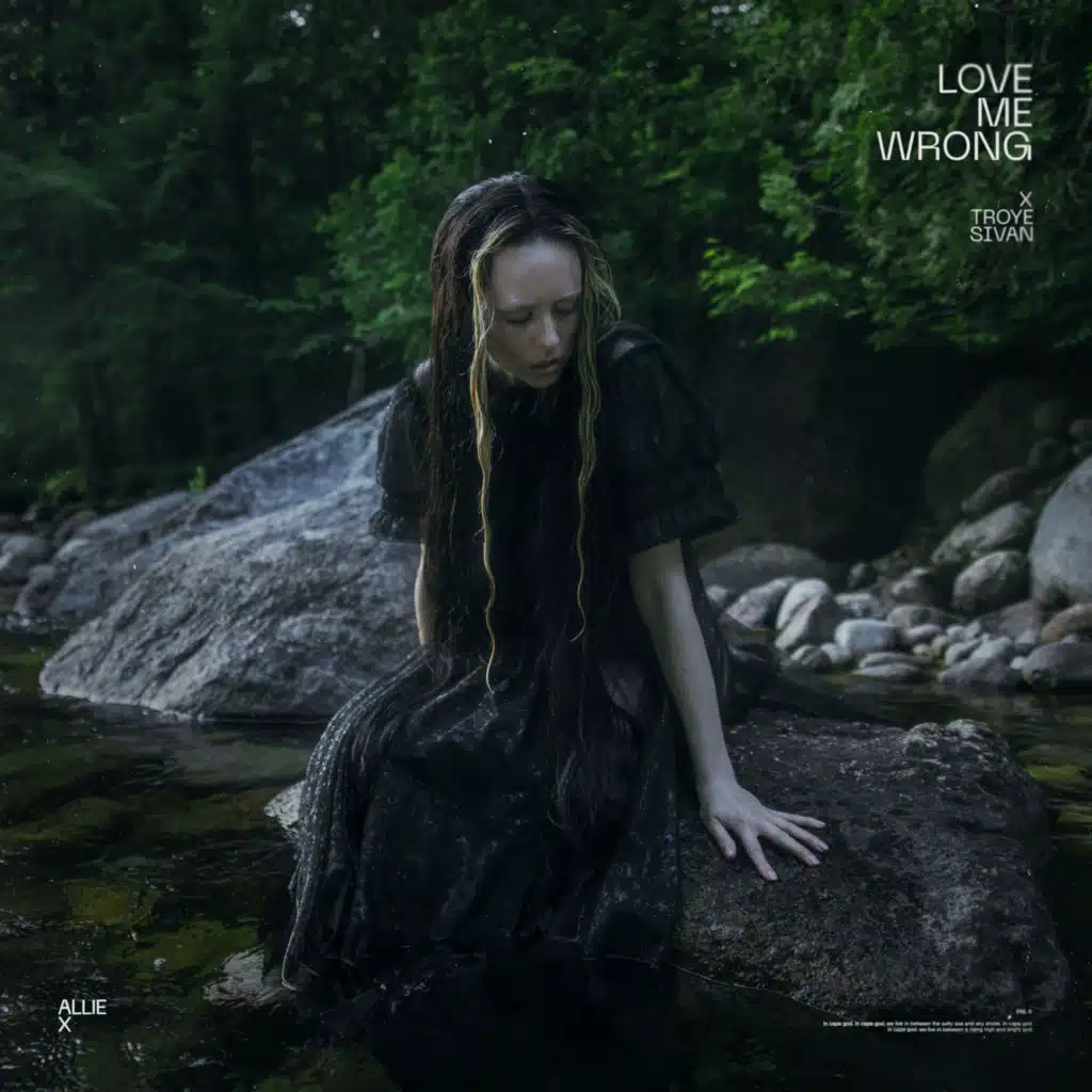 Allie X and Troye Sivan