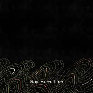 Say Sum Thin