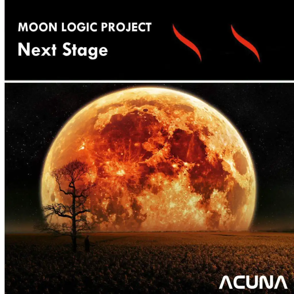 Moon Logic Project