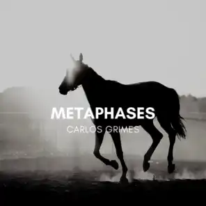 Metaphases