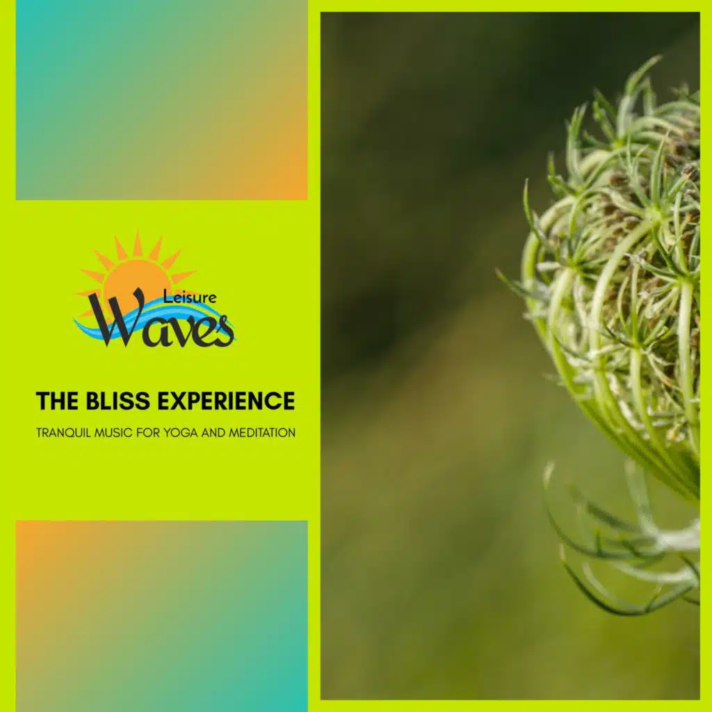 The Bliss Experience - Tranquil Music for Yoga and Meditation
