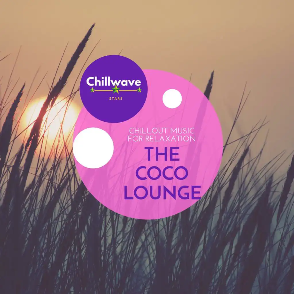 The Coco Lounge - Chillout Music for Relaxation