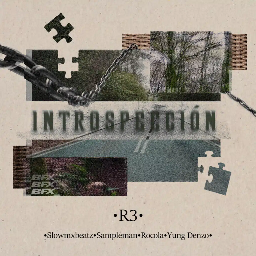 Introspección