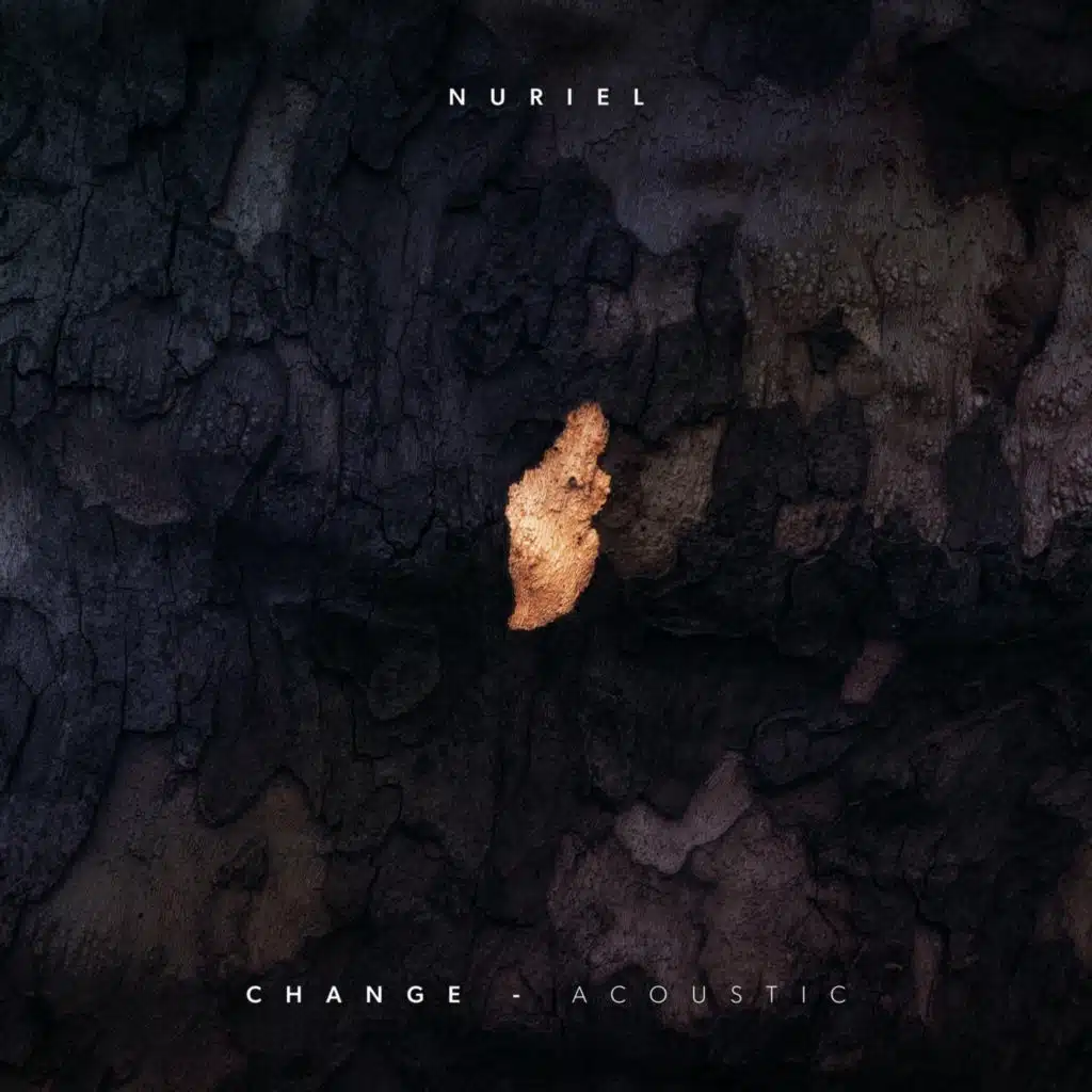 Change (Acoustic)