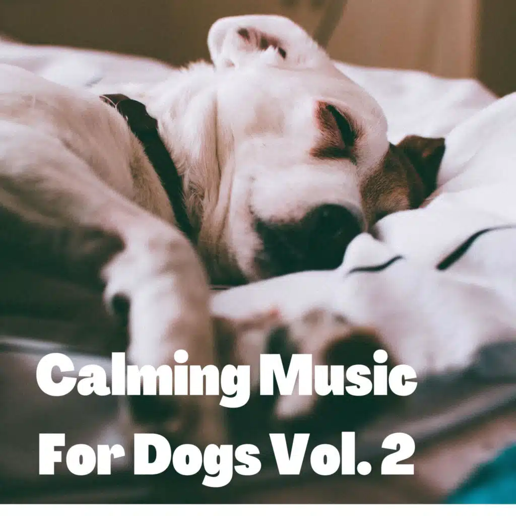 Calming Music For Dogs