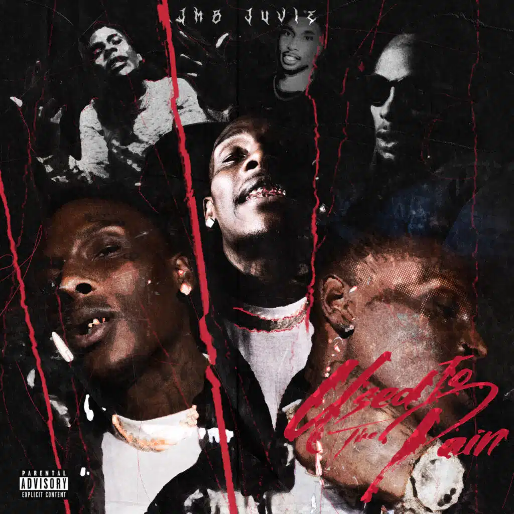 Used to the Pain