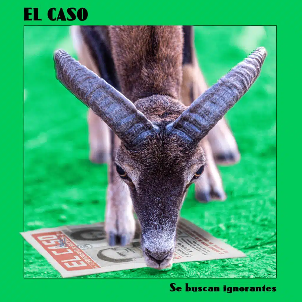 Se buscan ignorantes