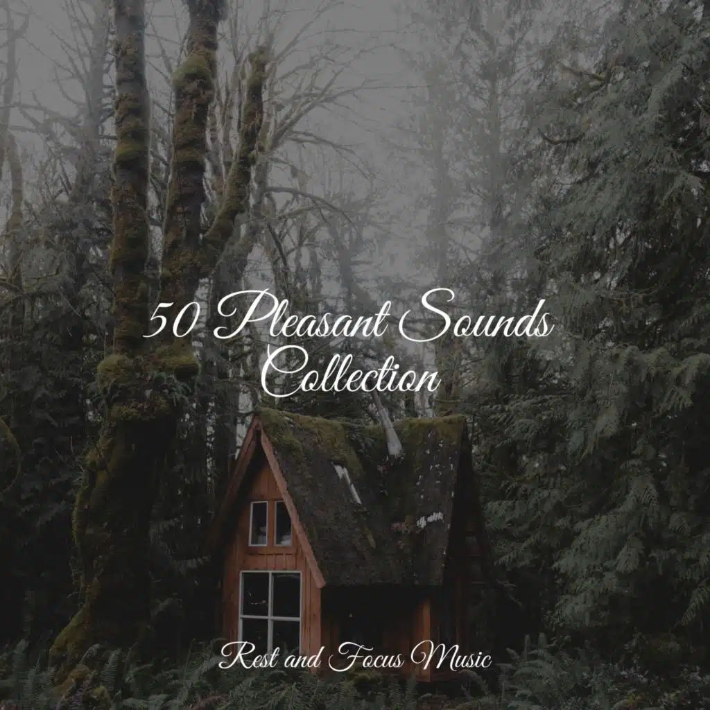 50 Pleasant Sounds Collection