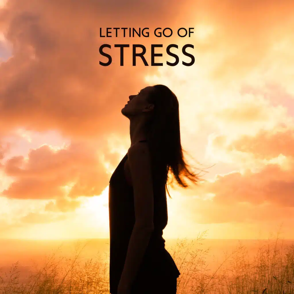 Anti Stress Music Zone, Academy of Powerful Music with Positive Energy & Antistress Music Collection