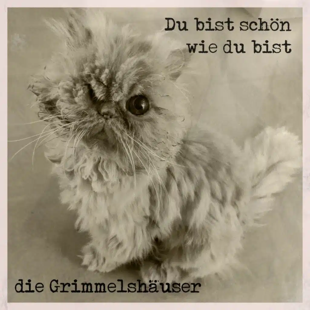die Grimmelshäuser