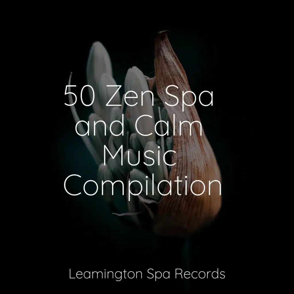 50 Zen Spa and Calm Music Compilation