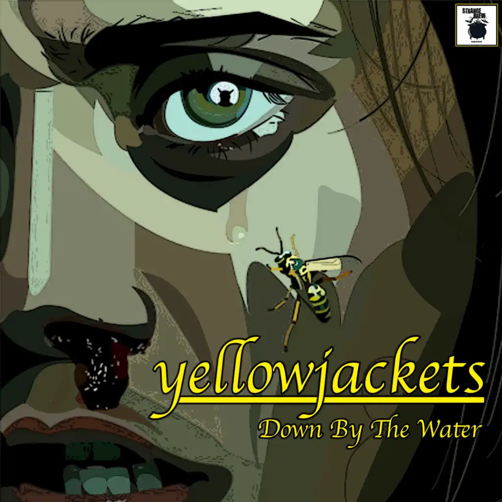Yellowjackets - Down By The Water