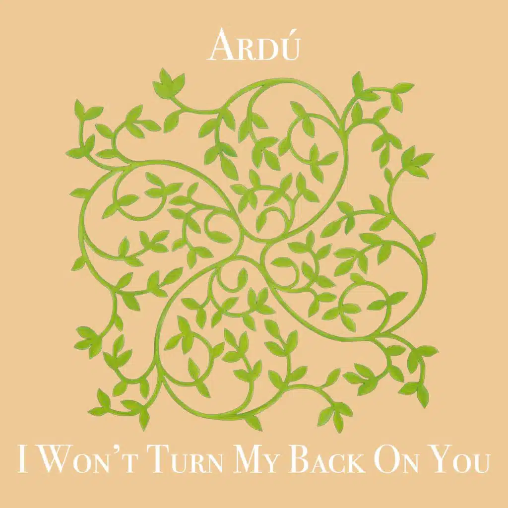 I Won't Turn My Back on You