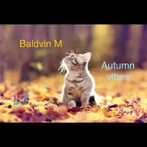 Baldvin M