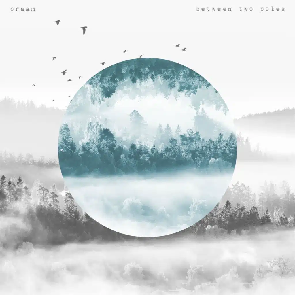 between two poles (deluxe edition)