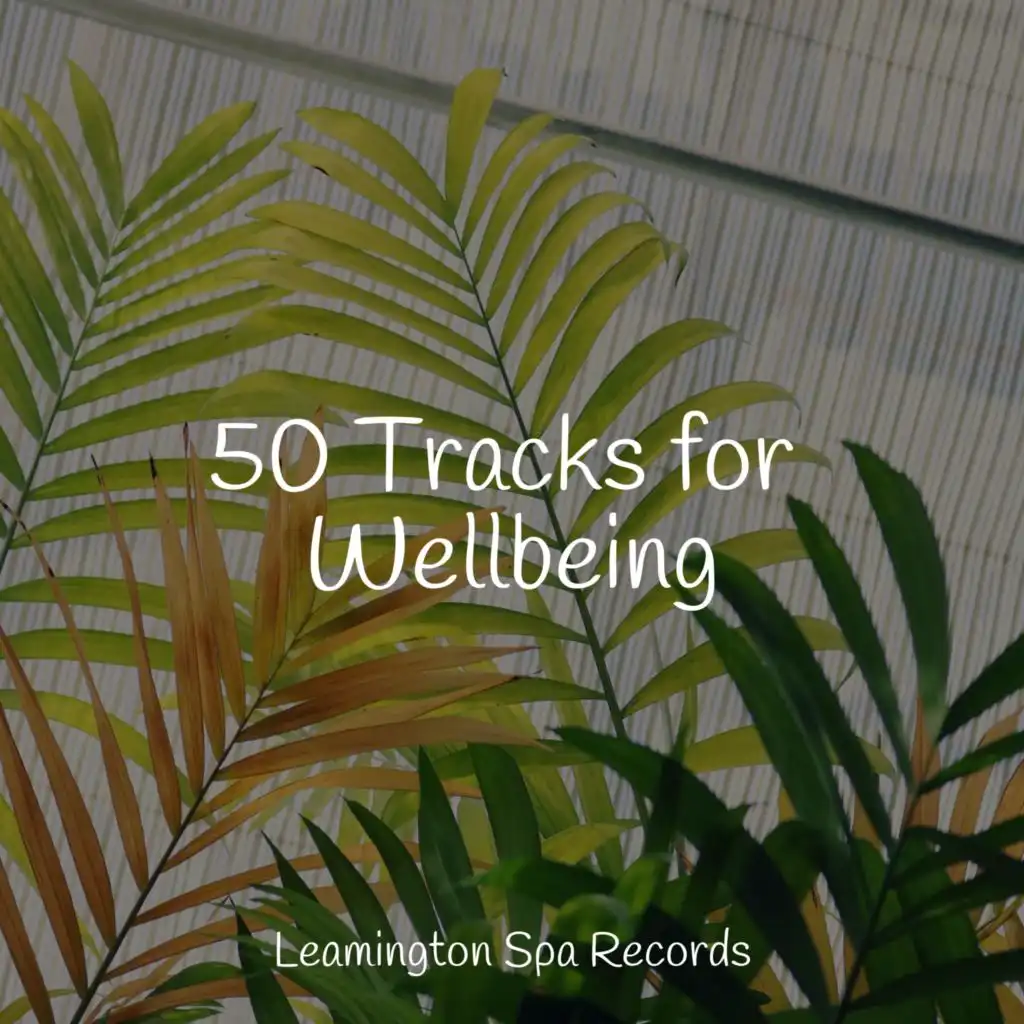 50 Tracks for Wellbeing