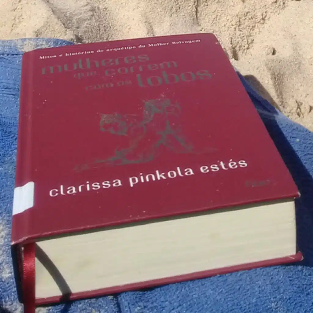 Mulheres que correm com os lobos. Clarissa Pínkola Estes. “O espírito do Urso.”