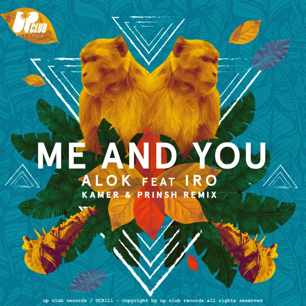 Me & You (Kamer, PRINSH! Remix) [feat. Iro]