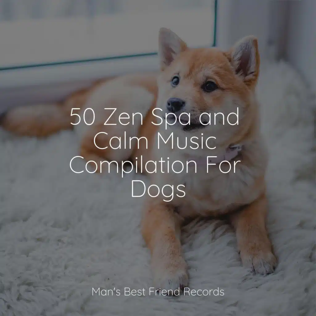 50 Zen Spa and Calm Music Compilation For Dogs