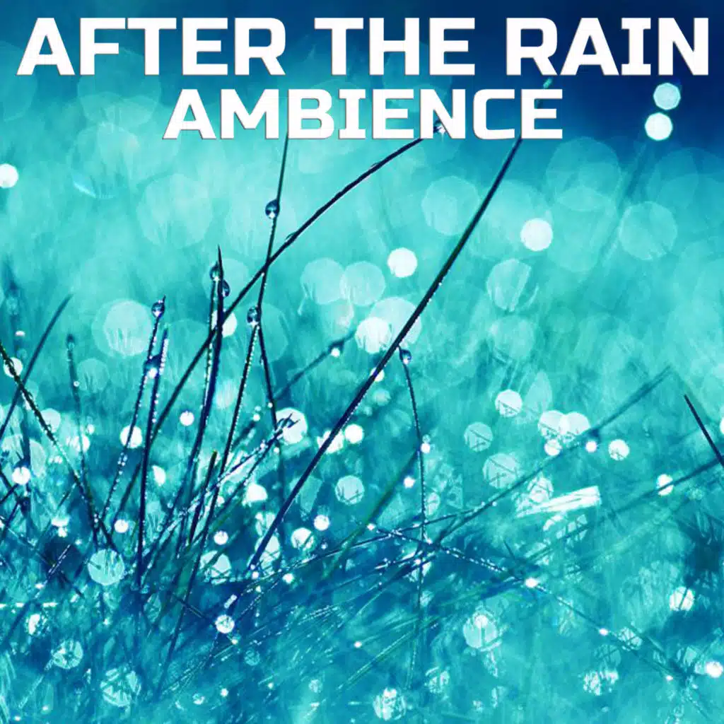 After the Rain Ambience (feat. Nature Relaxation, White Noise Sound, The Nature Sounds & The Nature Soundscapes)