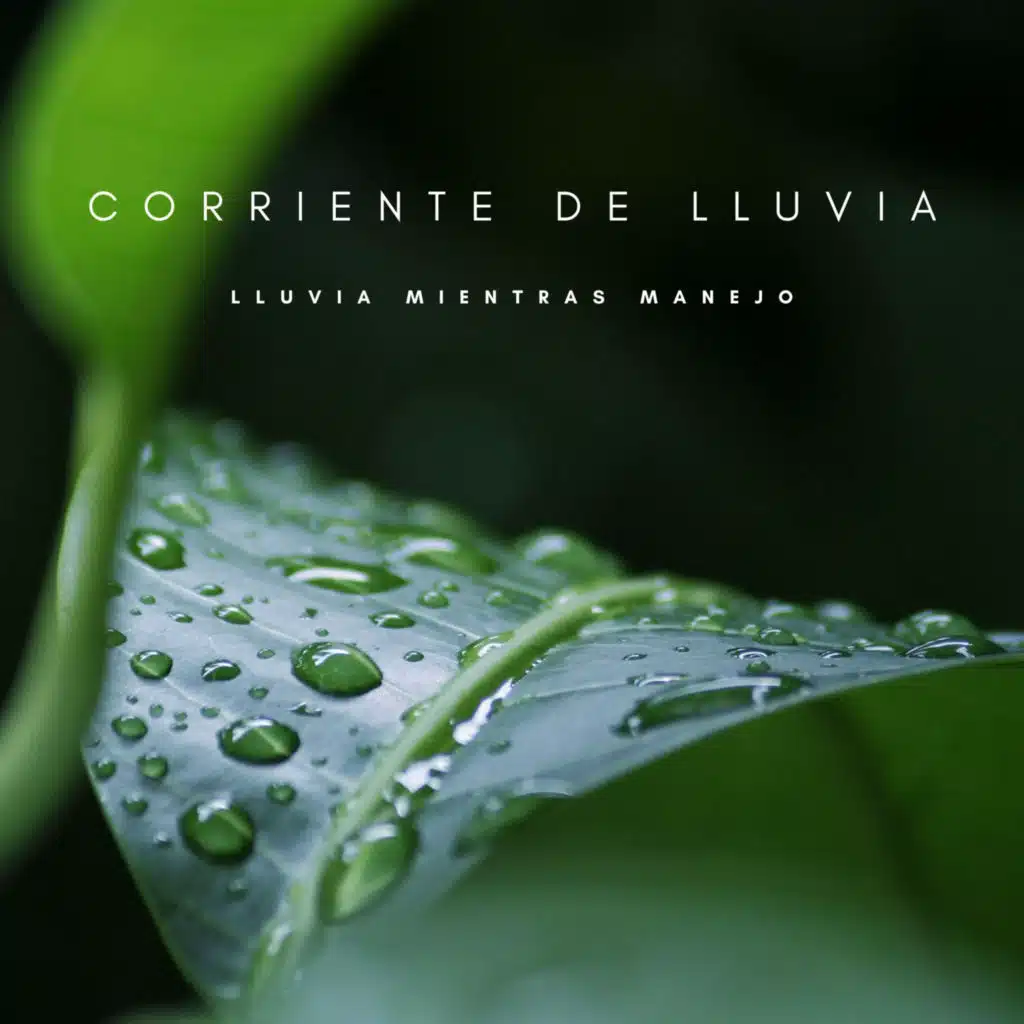 Madonna Lluvia