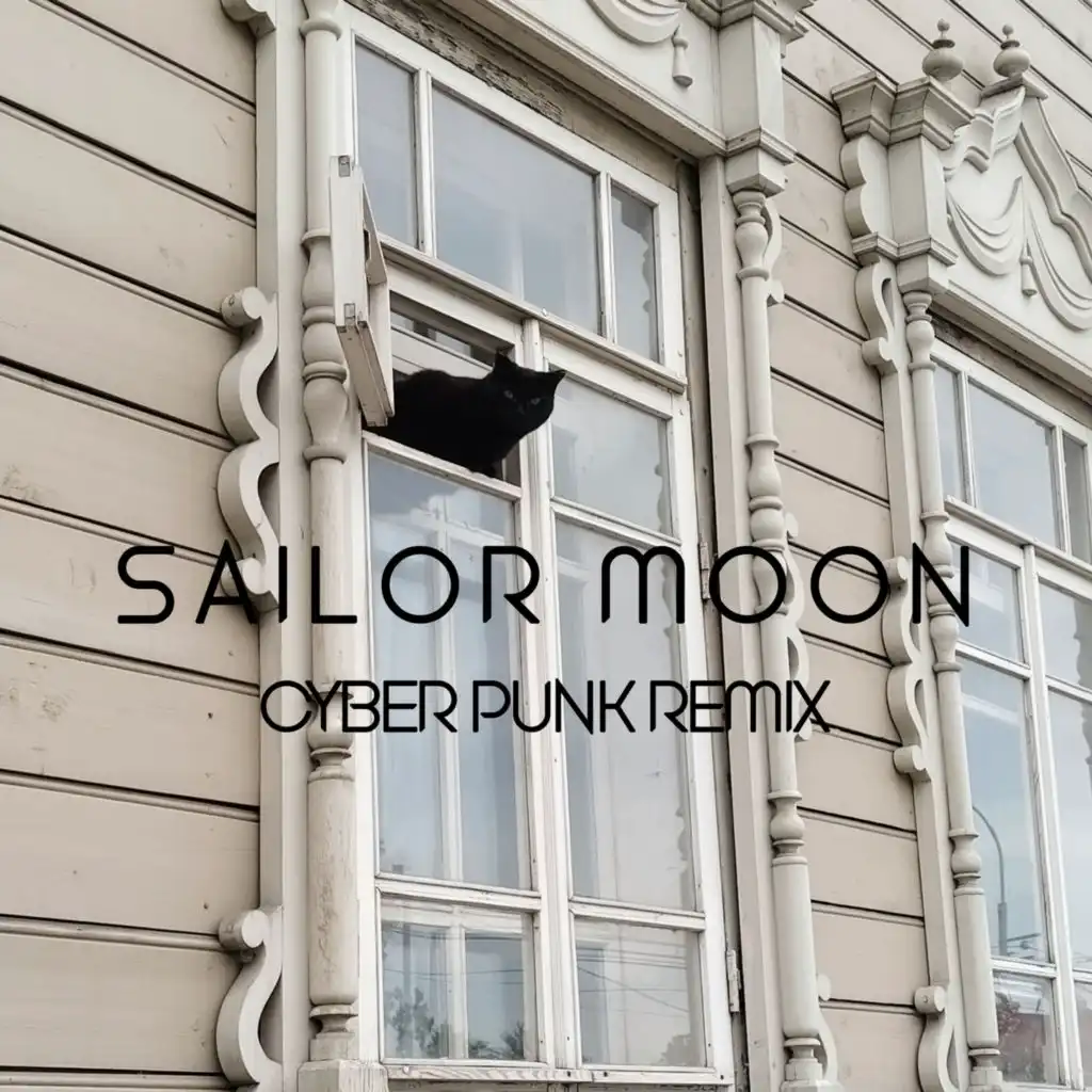 Sailor Moon (Cyber Punk Remix)