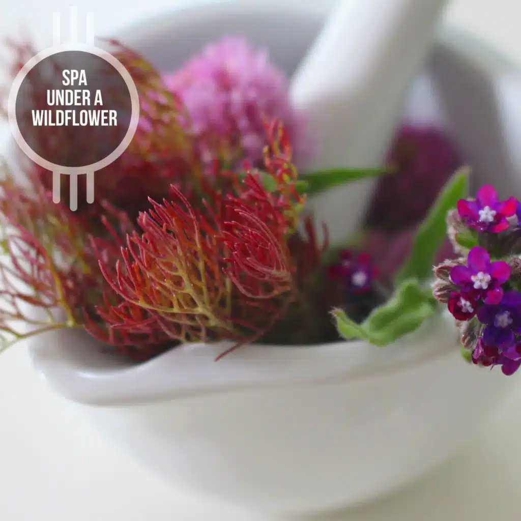 Meditation Boost Observation Power (Soft Piano A Major)