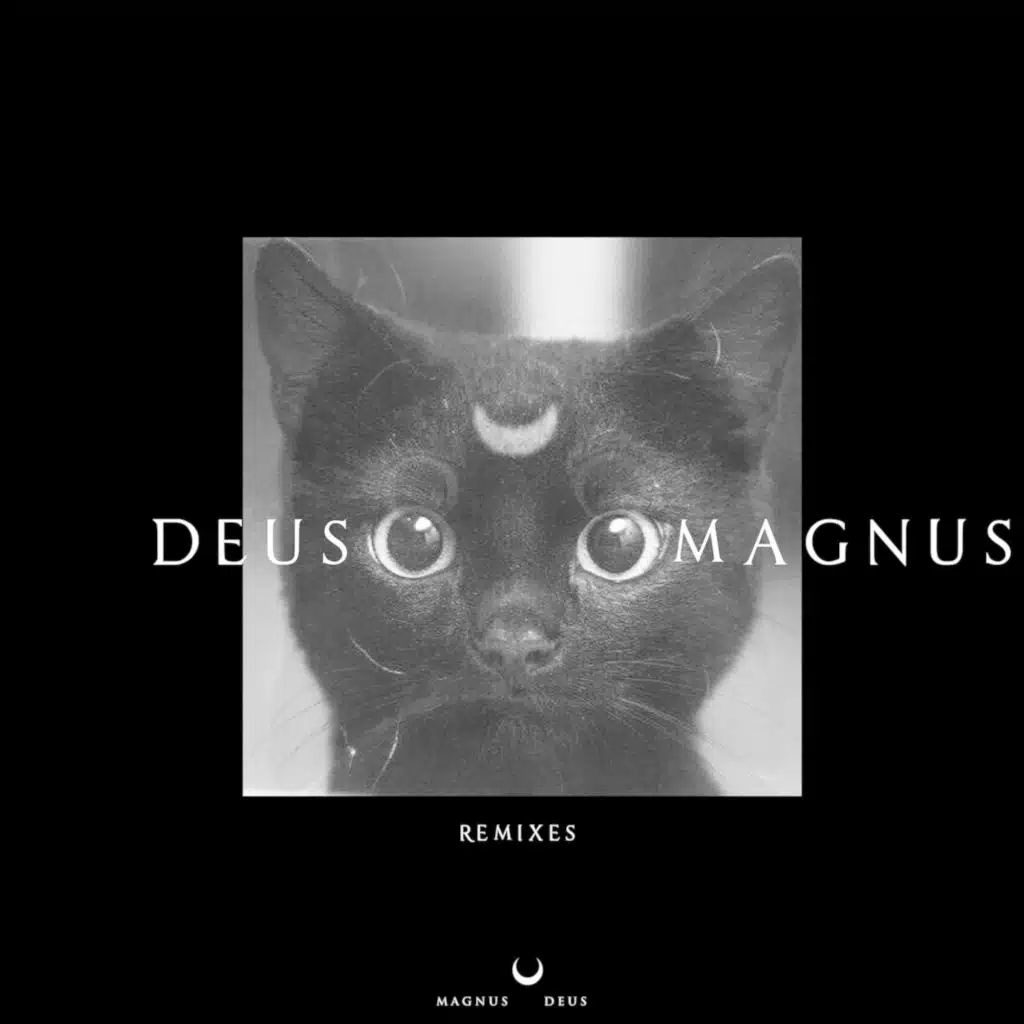 Inshallah (DJ Trendsetter Remix)