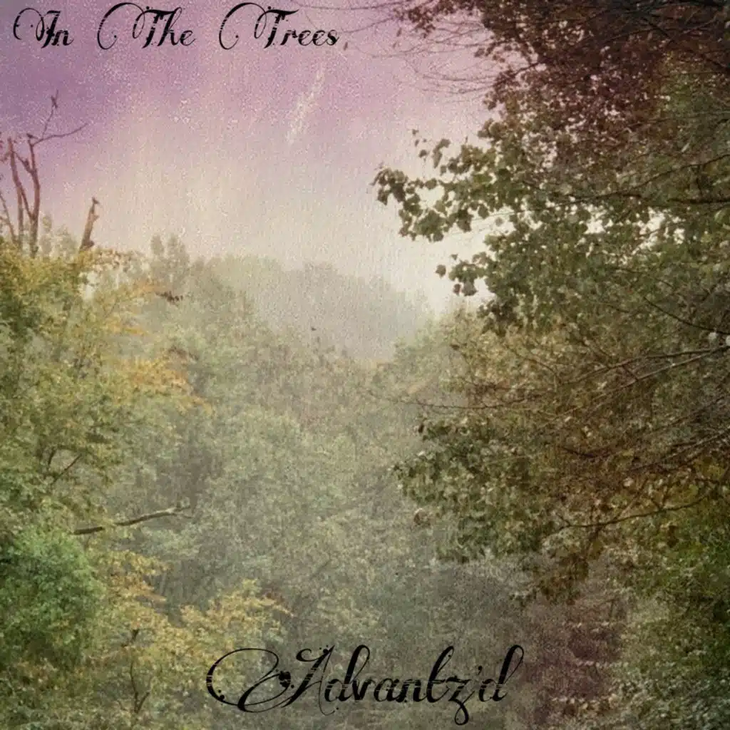 In the Trees