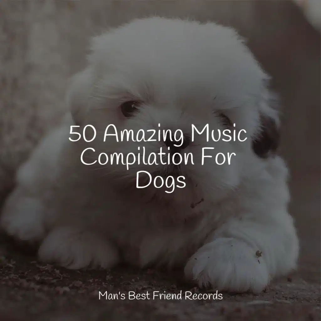 50 Amazing Music Compilation For Dogs